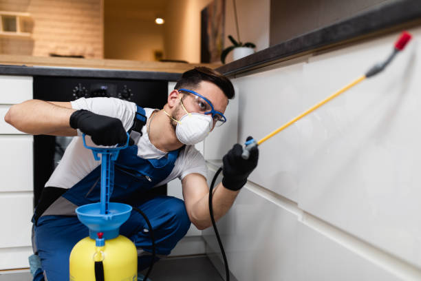 Best Rat Extermination Near Me  in Bellville, OH