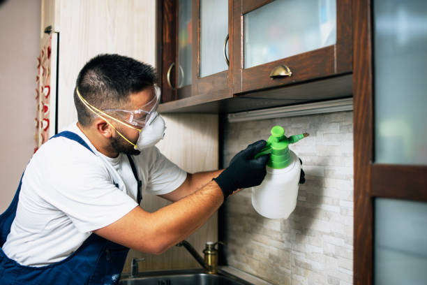 Best Pest Removal Services  in Bellville, OH