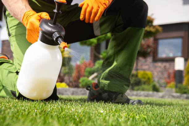 Flea Control Services in Bellville, OH