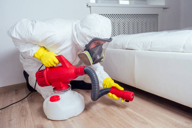 Best Affordable Pest Control Services  in Bellville, OH