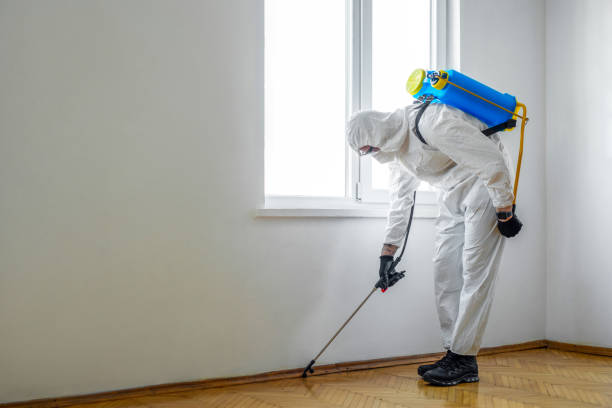 Best Pest Prevention Services  in Bellville, OH
