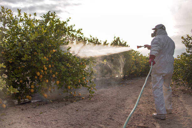 Best Local Pest Control Services  in Bellville, OH