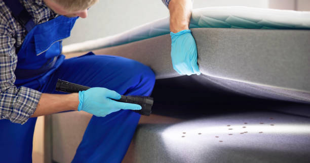 Best Rat Extermination Near Me  in Bellville, OH