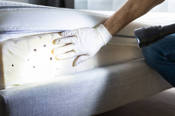 Best Pest Control Near Me  in Bellville, OH