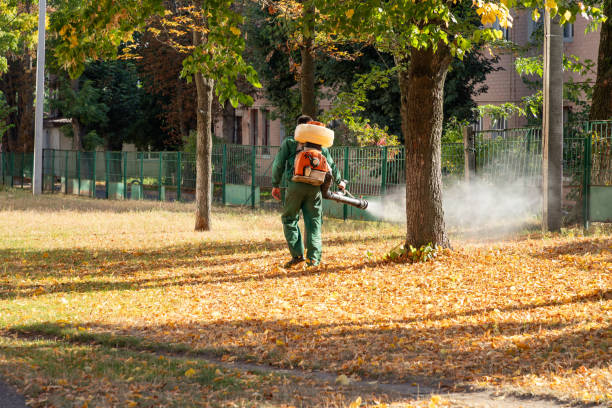 Best Residential Pest Control  in Bellville, OH