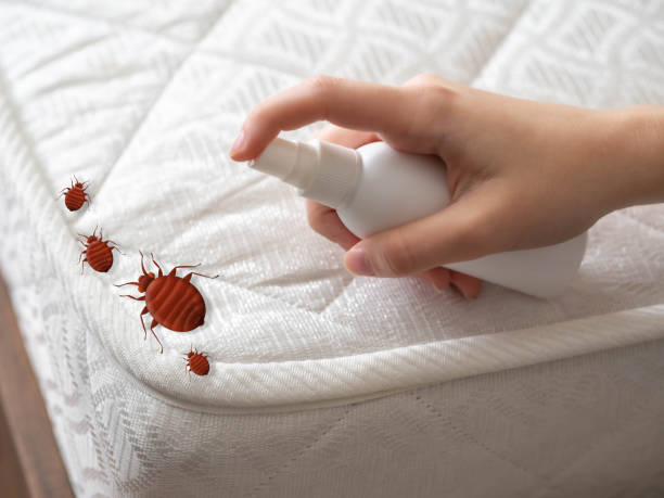 Best Bed Bug Extermination  in Bellville, OH
