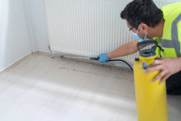 Best Pest Control Near Me in Bellville, OH