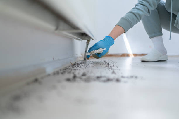 Pest Control Cost in Bellville, OH