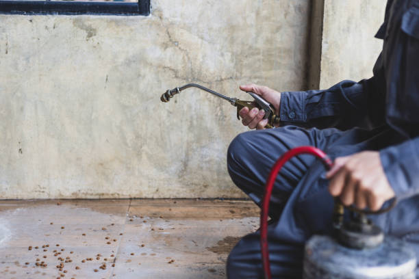 Best Mosquito Control Services  in Bellville, OH