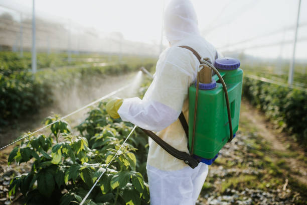 Professional Pest Control in Bellville, OH